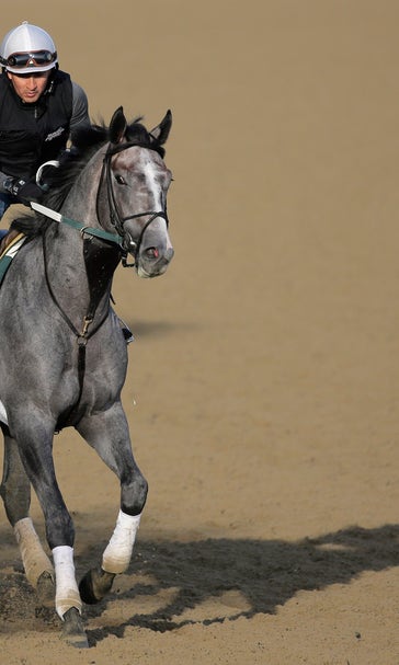 Analysis: Belmont pick is Tacitus, aided by bloodlines